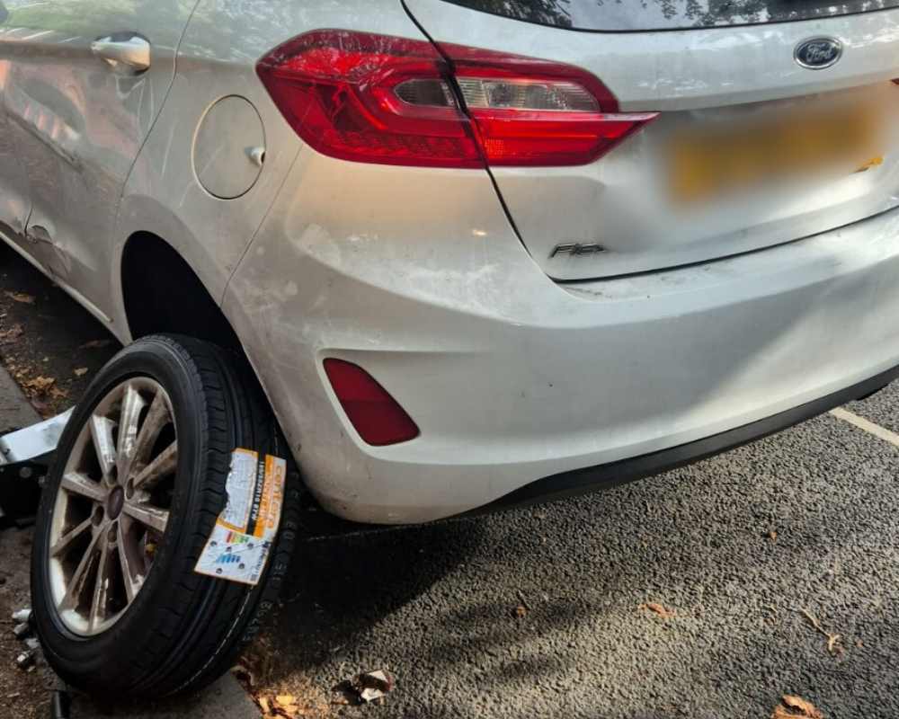 Untitled design (25)