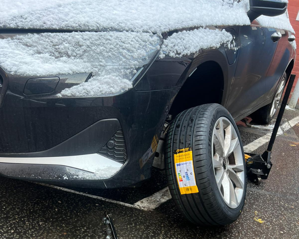 Untitled design (30)